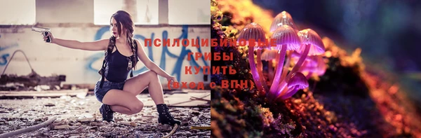 бутират Кукмор