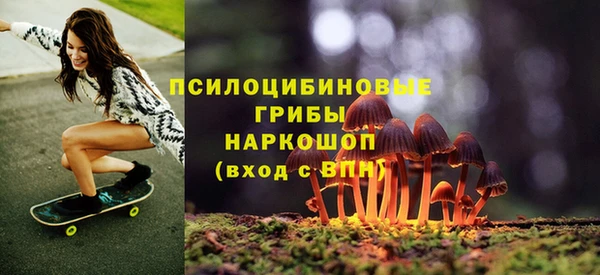 бутират Кукмор